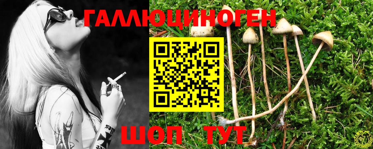 Галлюциногенные грибы GOLDEN TEACHER Коммунар