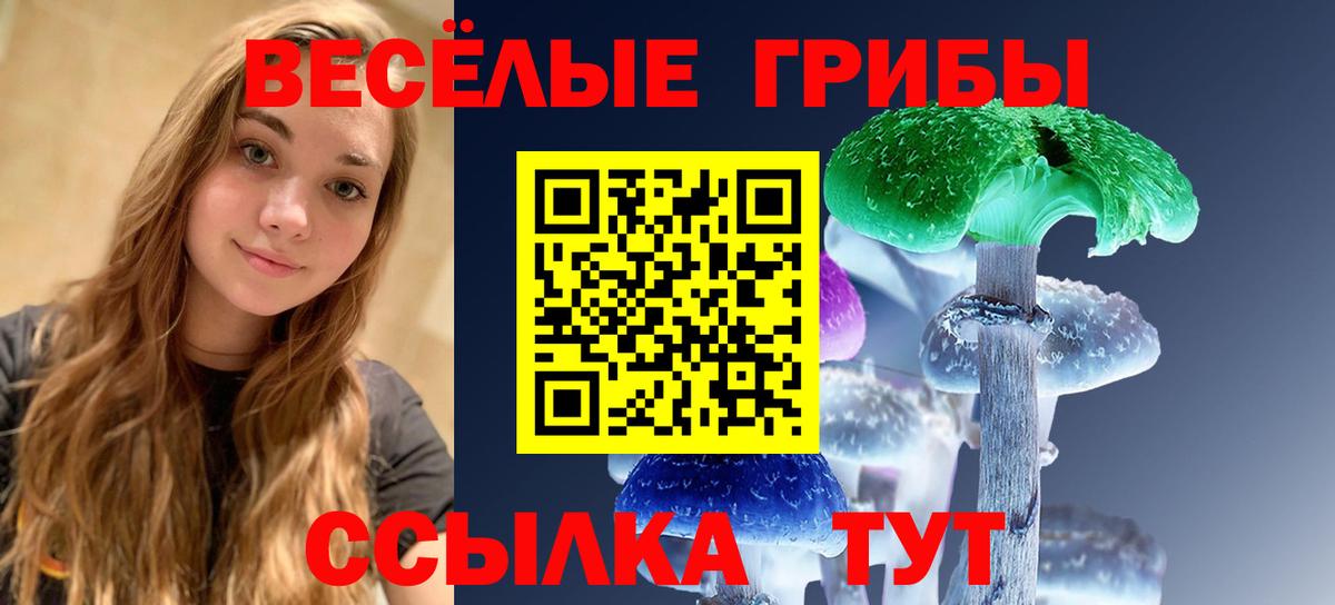 Коммунар  Галлюциногенные грибы мицелий  Вход с VPN 
